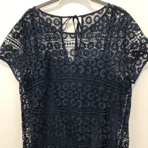 Ann Taylor Loft Navy Blue Lace Dress